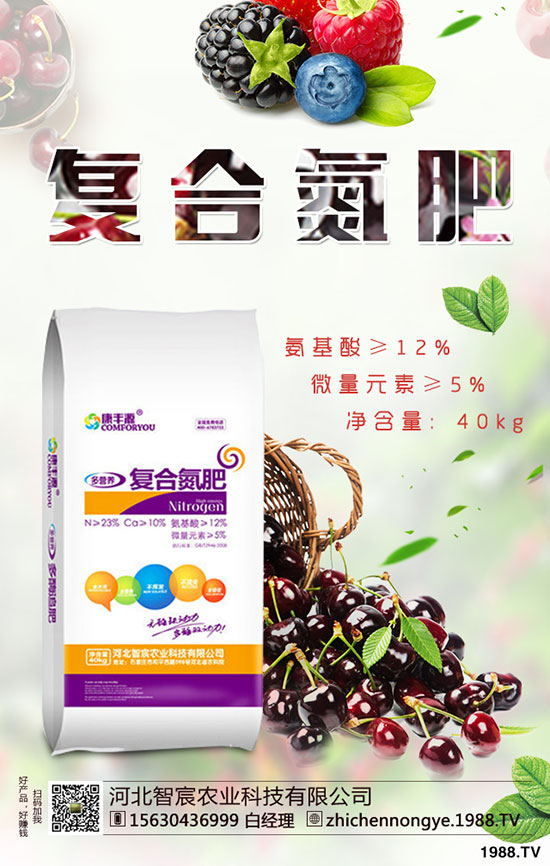 精品芒果種植技巧，施肥很關鍵！