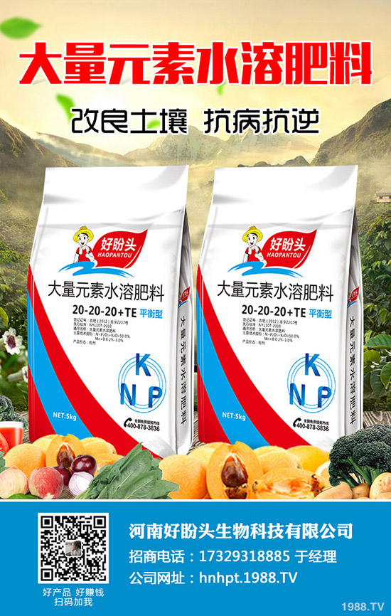 西蘭花什么時(shí)間種植？西蘭花田間如何管理？