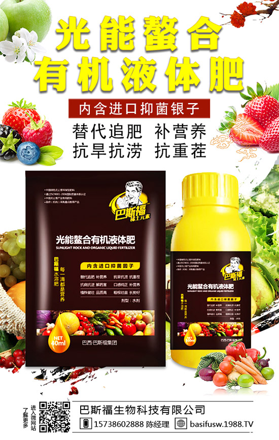 ��˹�������m(x��)�s1988.TV��������I(y��)���x�ͣ�