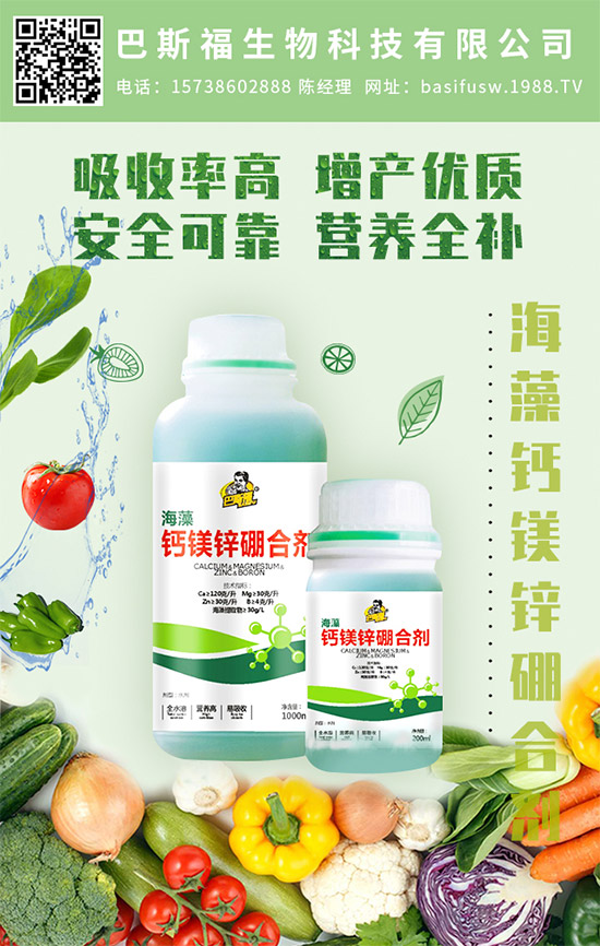 ��˹�������m(x��)�s1988.TV��������I(y��)���x�ͣ�