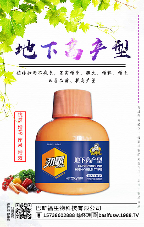 ��˹�������m(x��)�s1988.TV��������I(y��)���x�ͣ�