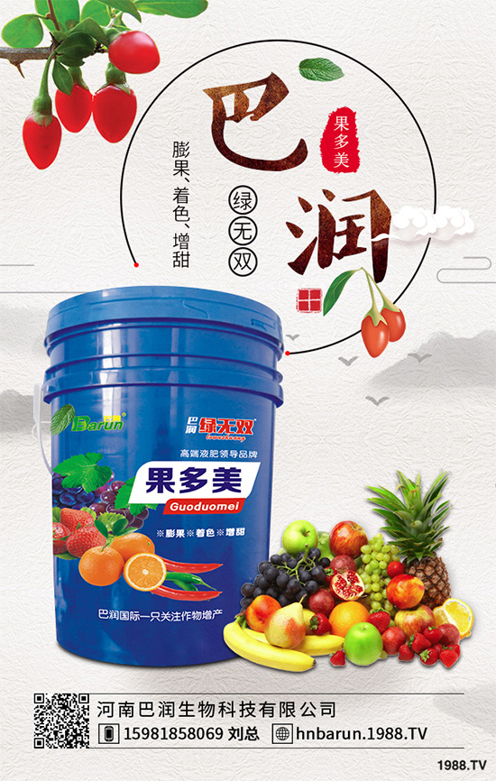 露地番茄該如何定植?定植密度是高產(chǎn)重要措施,快看看老農(nóng)怎么做!