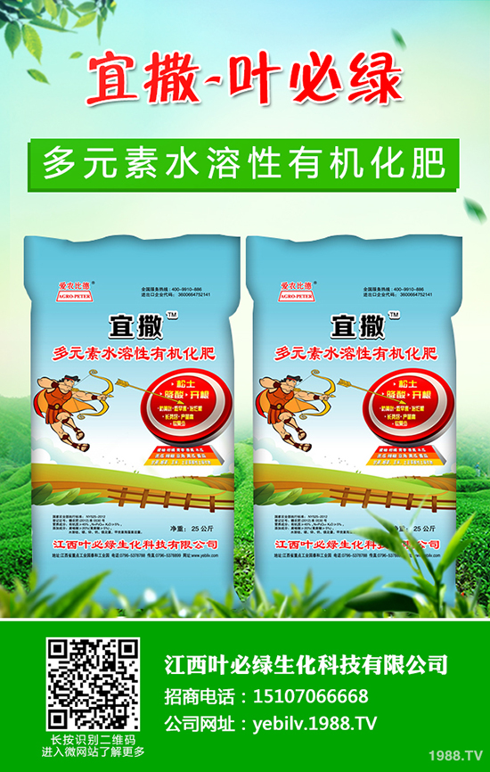 葫蘆種子怎么種 葫蘆種子催芽方法有哪些？