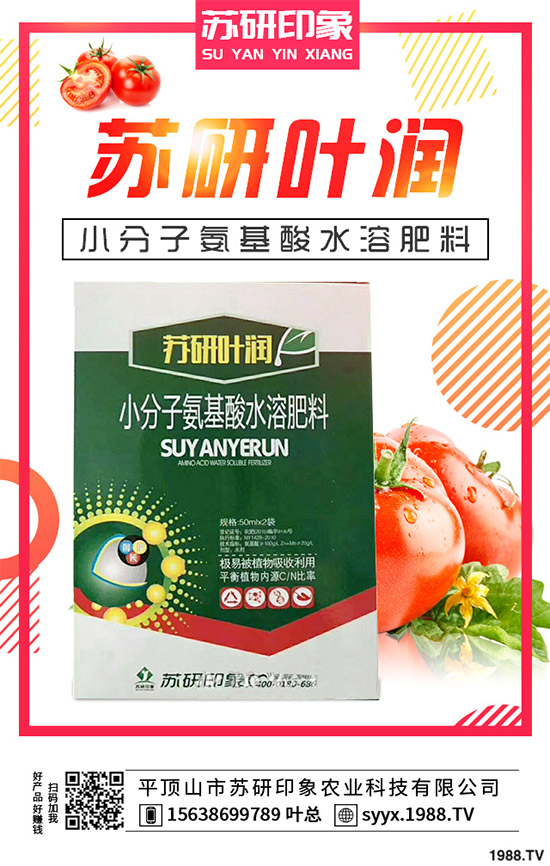 馬鈴薯該如何覆膜種植？馬鈴薯覆膜種植技術(shù)要點(diǎn)及存在的問(wèn)題