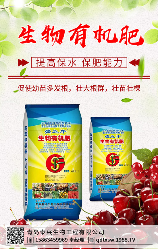 生姜該如何播種育苗？生姜高產栽培技術要點