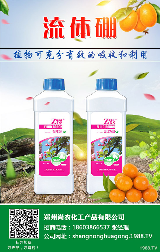     葫蘆瓜的種植條件有哪些，葫蘆育苗技術(shù)及種植方法！