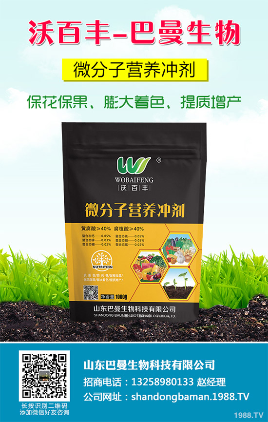 春花生播種的常見誤區(qū),不少農戶犯過錯(附解決方案)