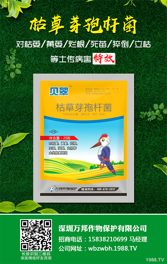 小麥赤霉病藥劑防治效果，有了新變化！