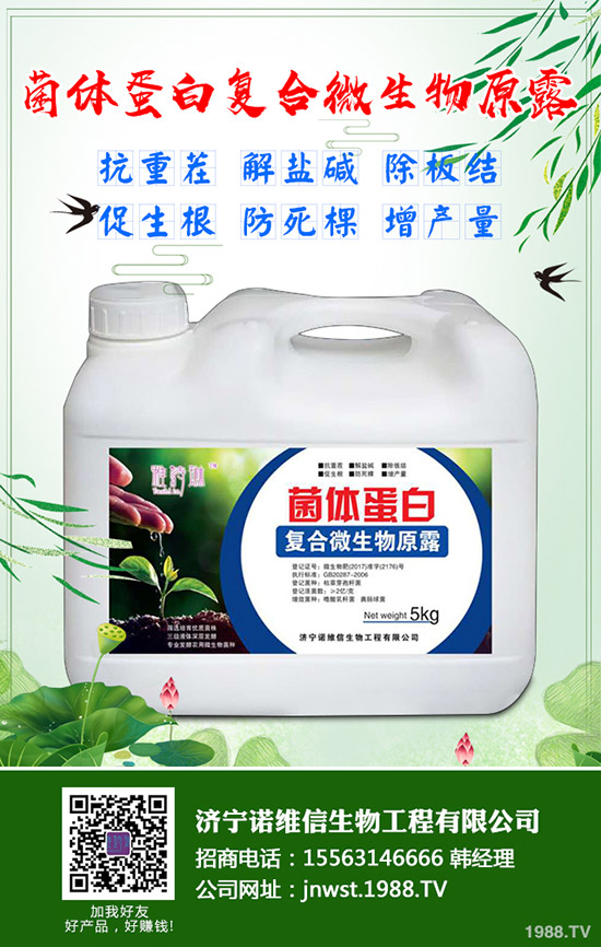 大豆施用硼肥有哪些好處？大豆施用硼肥的技術(shù)！