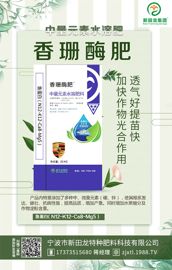 �����P(gu��n)ϵ�����A���������m(x��)�s1988.TV�����\�����°l(f��)չ��