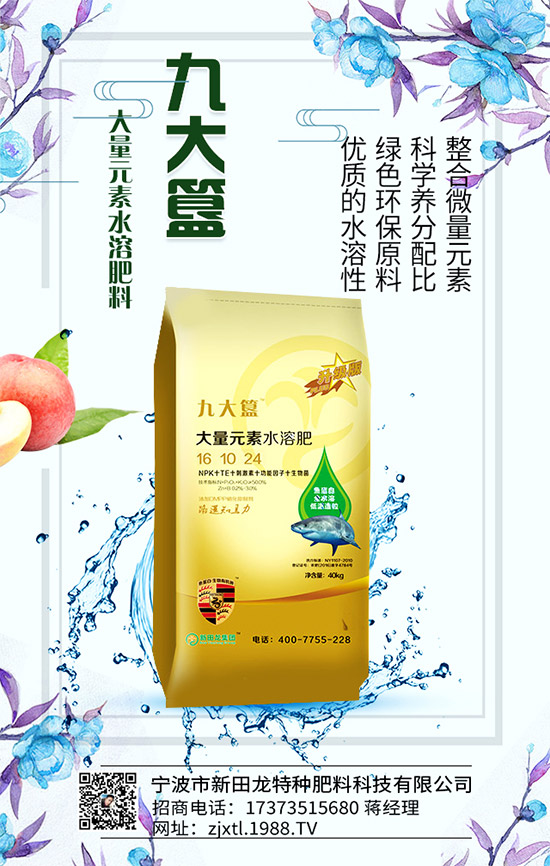 �����P(gu��n)ϵ�����A���������m(x��)�s1988.TV�����\�����°l(f��)չ��