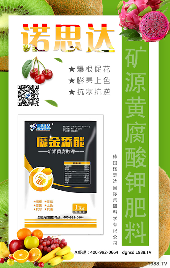 ��(zh��n)�Ժ��������������Z˼�_(d��)�ٴκ��s1988.TV��