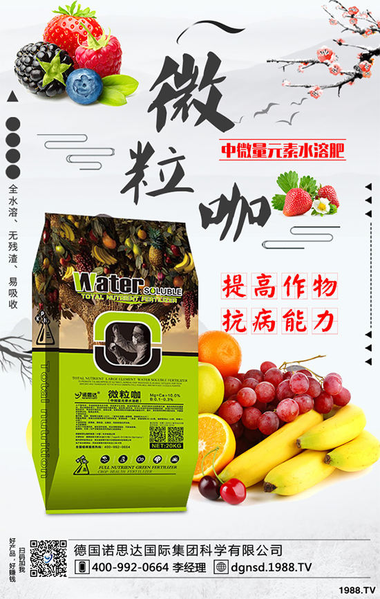 ��(zh��n)�Ժ��������������Z˼�_(d��)�ٴκ��s1988.TV��