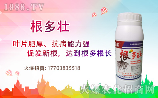 1988.TVϲӭ�����ѣ������³��_���W(w��ng)�j(lu��)������������