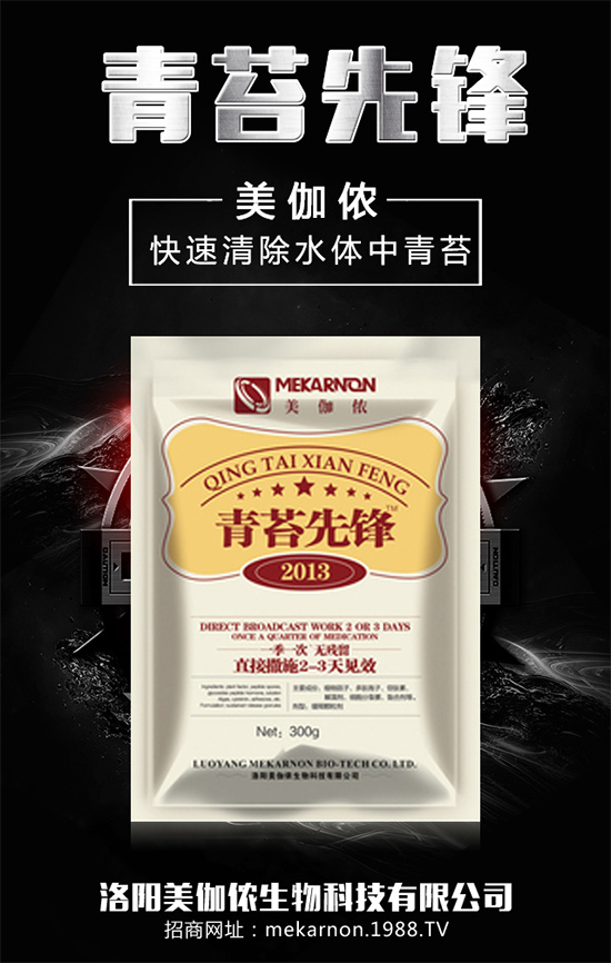 ��(zh��n)�Ժ�������������٤�z�����ٺ��r(n��ng)���W(w��ng)���A2020��