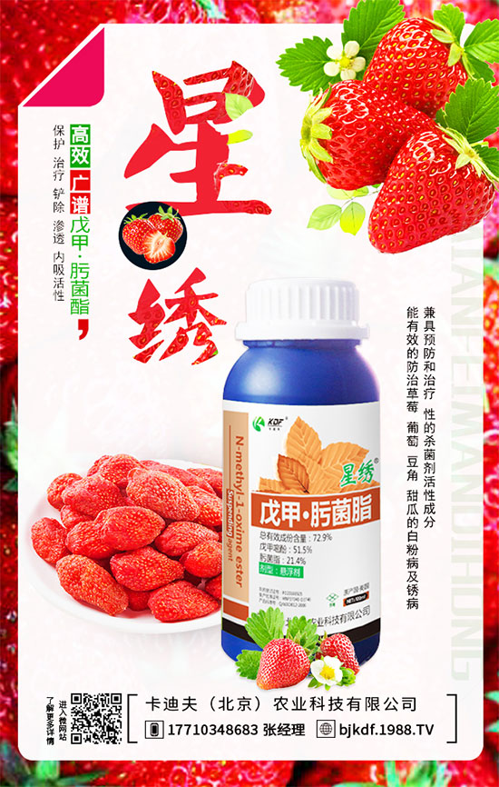 豆角要不要打尖？豆角如何正確整枝打尖呢？