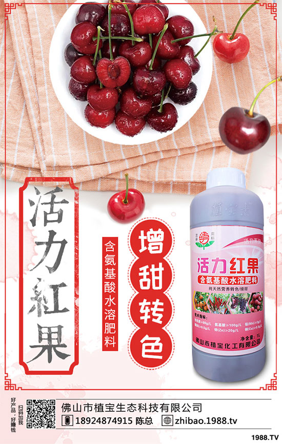 金銀花畝產(chǎn)量是多少？金銀花高產(chǎn)種植技術(shù)