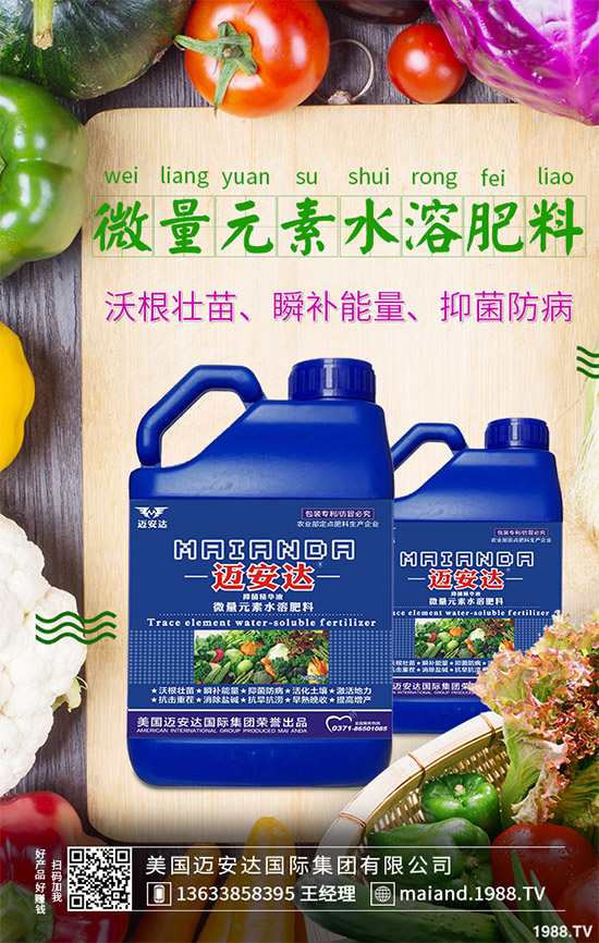 空心菜什么時間種植?空心菜對環(huán)境條件有什么要求?