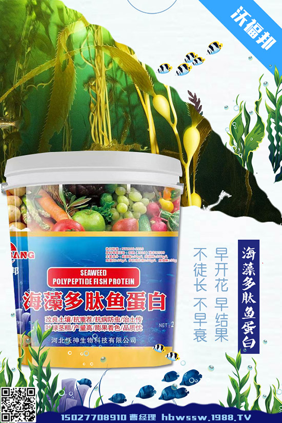     茄子種植需要注意哪些問題，茄子的水肥管理要點(diǎn)！