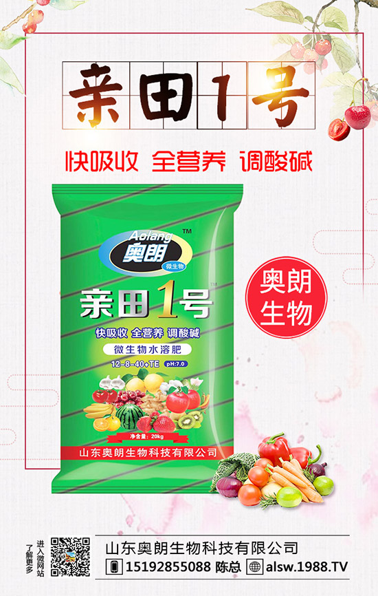  蘆筍種子處理及育苗技術(shù)，蘆筍定植后要如何管理？