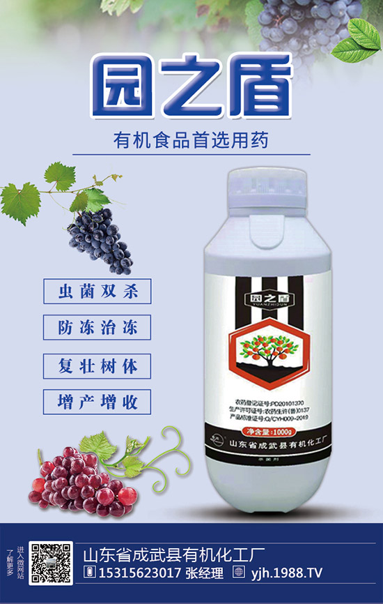 蘆筍如何施肥？蘆筍用什么肥料好？蘆筍需肥特點(diǎn)及注意事項(xiàng)！