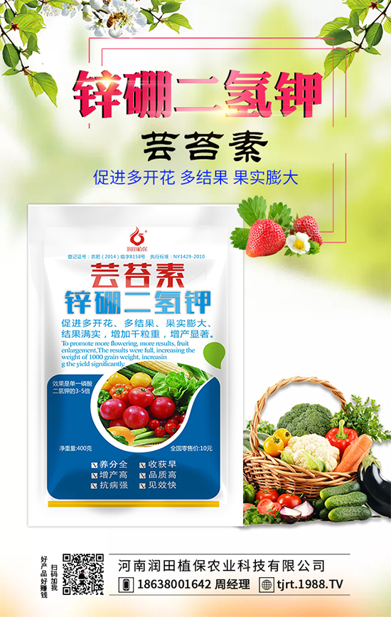 莧菜什么時間栽種？莧菜種植技術(shù)要點(diǎn)！