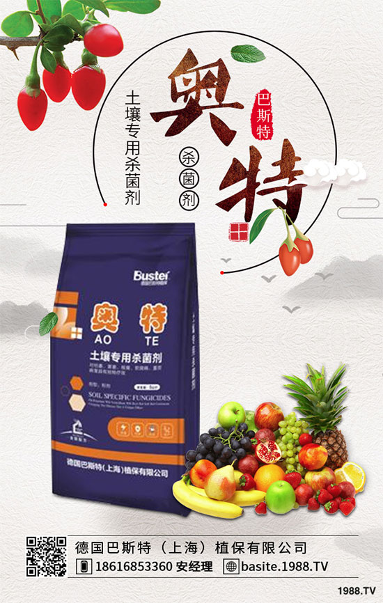 ���ߺ���������ʲô�^(q��)�e�������߷N�ӵķNֲ������