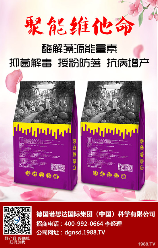 密本南瓜怎么種植？密本南瓜的栽培技術(shù)要點(diǎn)與方法！