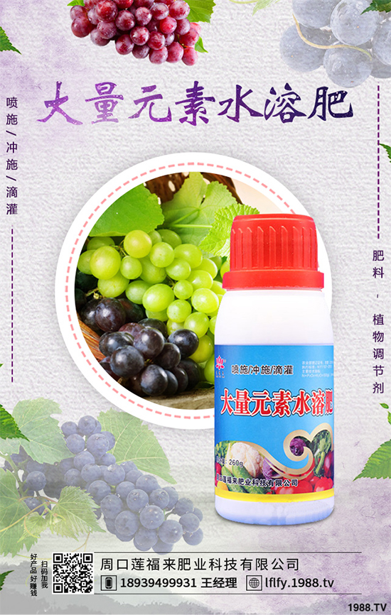 皂莢刺多少錢一斤？種植前景如何？中藥材的效益分析