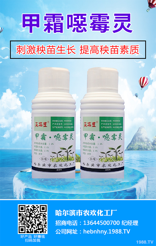 ���򡰡��İ�˹�򚢾����ȷ��Ѿ��򼴌����҇�����