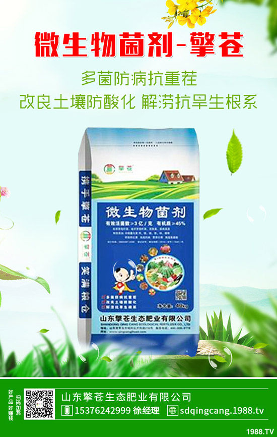     2020年4月3日復(fù)合肥市場行情保持穩(wěn)定態(tài)勢！最新后市預(yù)測！