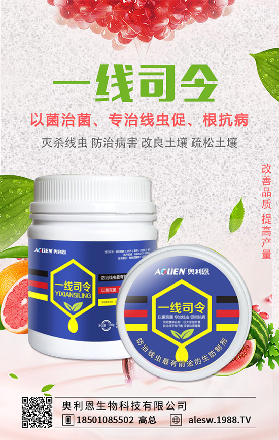 豌豆基腐病有什么危害？豌豆基腐病的發(fā)生規(guī)律及防治！