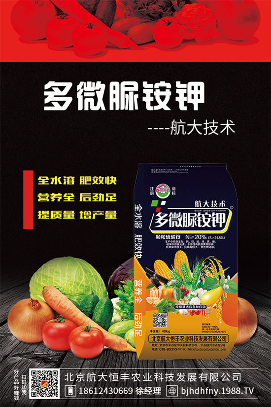 三七種子怎么種植?三七功效與作用有哪些?