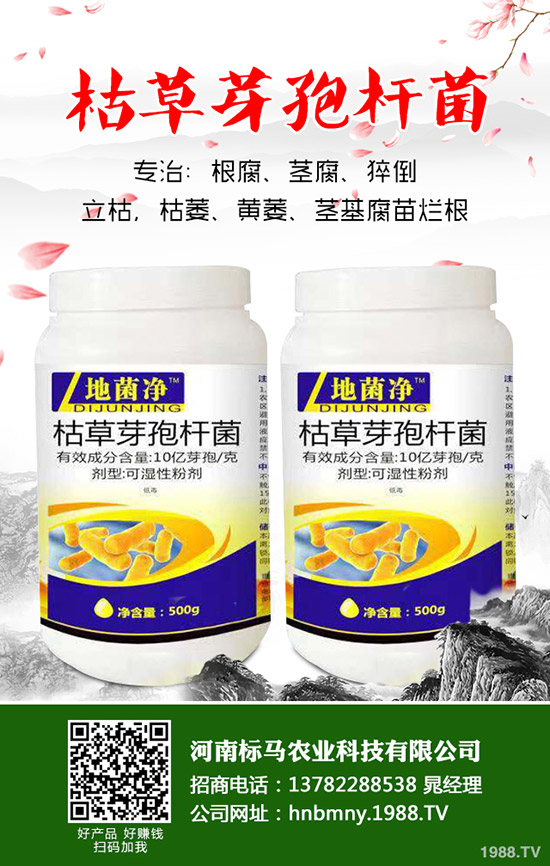 苦瓜怎么施肥，苦瓜施肥要點(diǎn)有哪些？