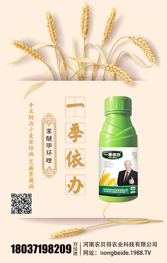 水培白掌怎么養(yǎng)？水培水培注意要點！