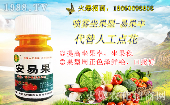 ���������������r���r(n��ng)�I(y��)�y��1988.TV���Aδ����