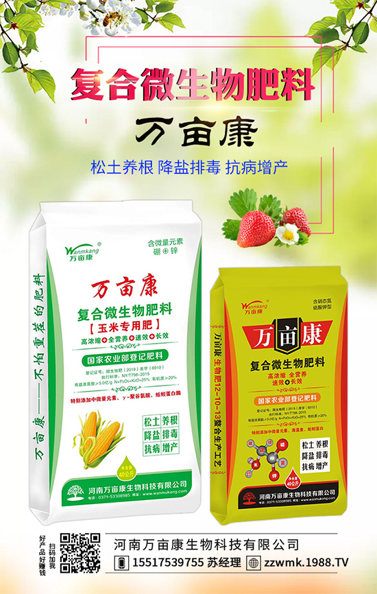 白掌不開花是什么原因？白掌不開花解決措施！