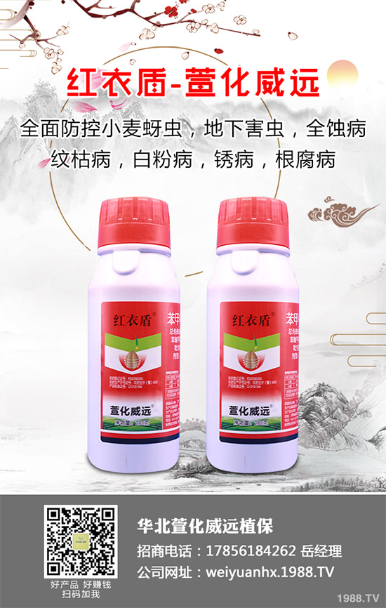     金花葵又叫菜芙蓉、野芙蓉等等，是一種集藥用、食用為一體，有著清熱涼血、鎮(zhèn)痛等各種功效的草本植物。主要用于水腫、等，其營養(yǎng)價(jià)值也是非常豐富的，在我國非常受歡迎。那么，金花葵該如何栽培呢？金花葵高產(chǎn)栽培技術(shù)有哪些？