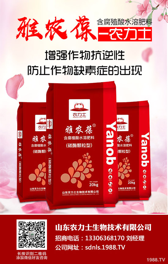     ���؃r������������Εr�ǂ��^��2020-5-14�����������r�Ƕ�����