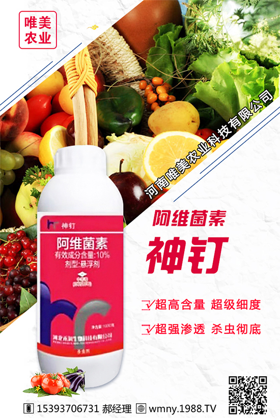 洋蔥的栽培品種有哪些？種植洋蔥對(duì)環(huán)境條件的要求！