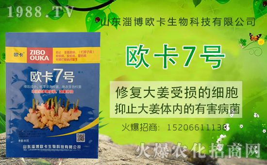 �����P(gu��n)ϵ�����A��ɽ�|�Ͳ��W�������m(x��)�s1988.TV�����\�����°l(f��)չ��