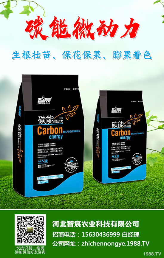 5����(n��i)�׷��Ј���ȥ�Ώ�������һ�@���@�r(ji��)�������߄��A(y��)�y��