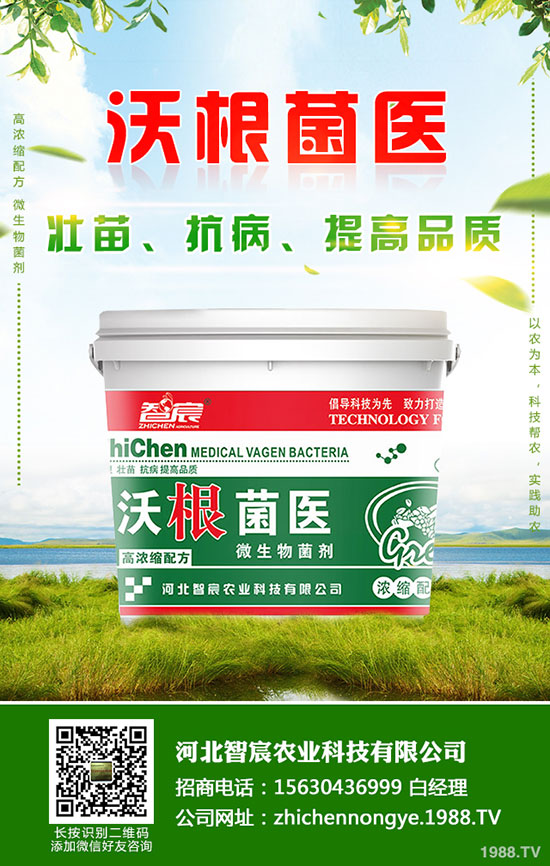 鉀肥價格整體偏低運行！最新鉀肥行情分析2020-5-15！