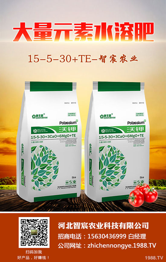 龍須鐵怎么養(yǎng)，龍須鐵的養(yǎng)殖方法和注意事項(xiàng)