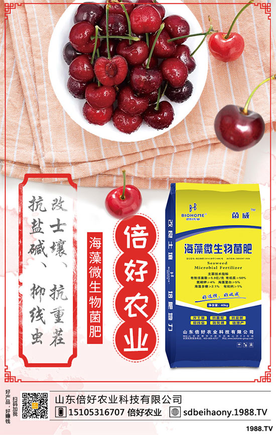 尿素價(jià)格局地反彈！2020年5月16日最新尿素各地主流出廠報(bào)價(jià)一覽！