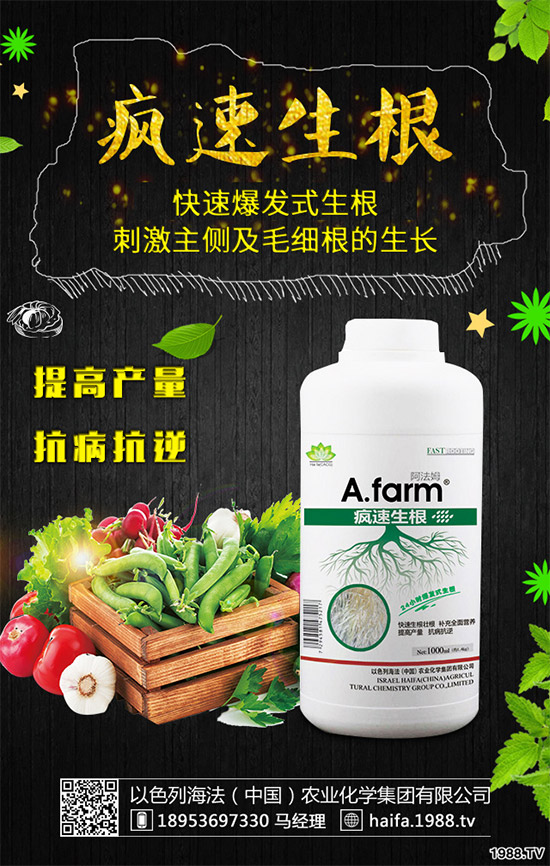 葡萄裂果是啥原因?該如何預(yù)防?葡萄裂果的原因和防治方法