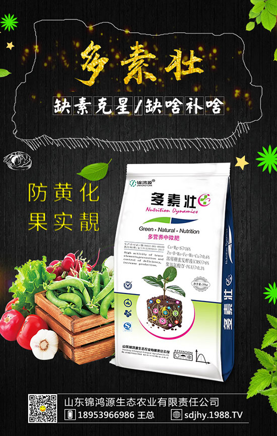 火龍果育苗方法有哪些，火龍果育苗要點(diǎn)及苗期管理！