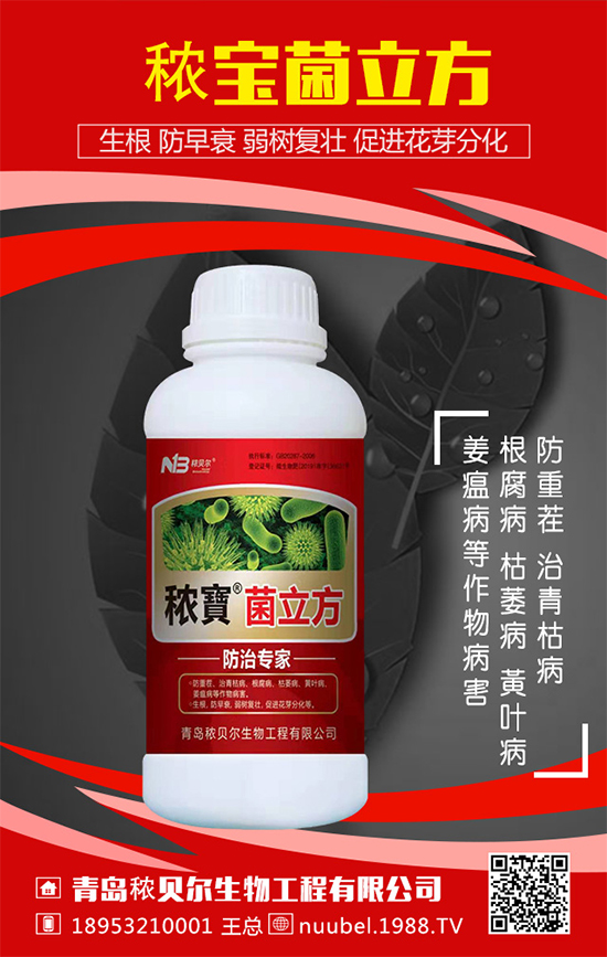 葫蘆怎么播種方法?葫蘆的播種方法及生長過程!