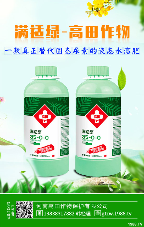 草珊瑚有哪些神奇功效？中藥材草珊瑚的作用及功效！