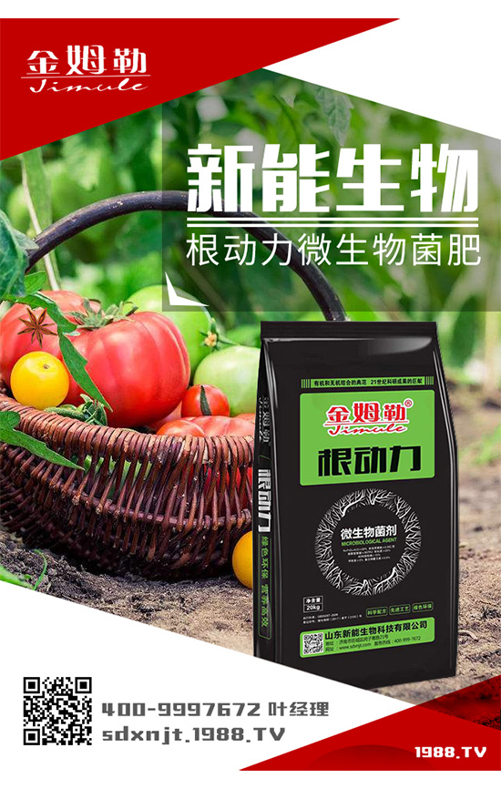 �������\�l(f��)չ��ɽ�|�����ٺ�1988.TV�_��(chu��ng)���x����